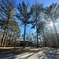 Mass Bay Tree Service Inc