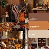 That 1 Painter Omaha' Council Bluffs