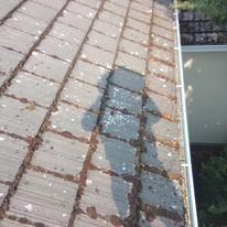 Specialized Roof Care