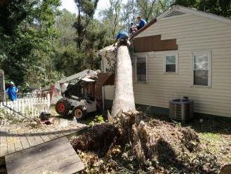Timber Pros Tree Service