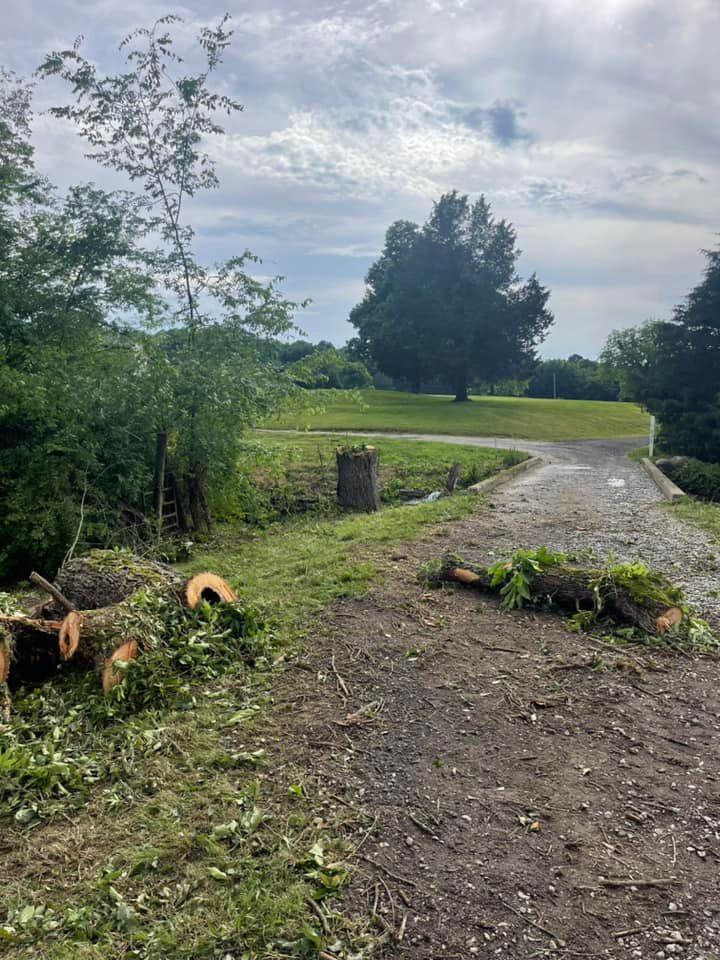 Heavenly Landscape & Tree Service