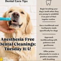 Well Groomed Pets - Orange County