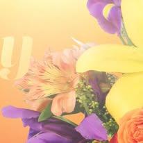 Twisted Stems Floral & Gift Shop