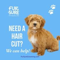 Fur Sure Grooming