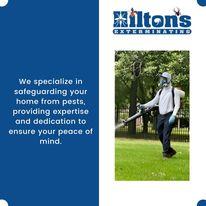 Hilton’s Exterminating