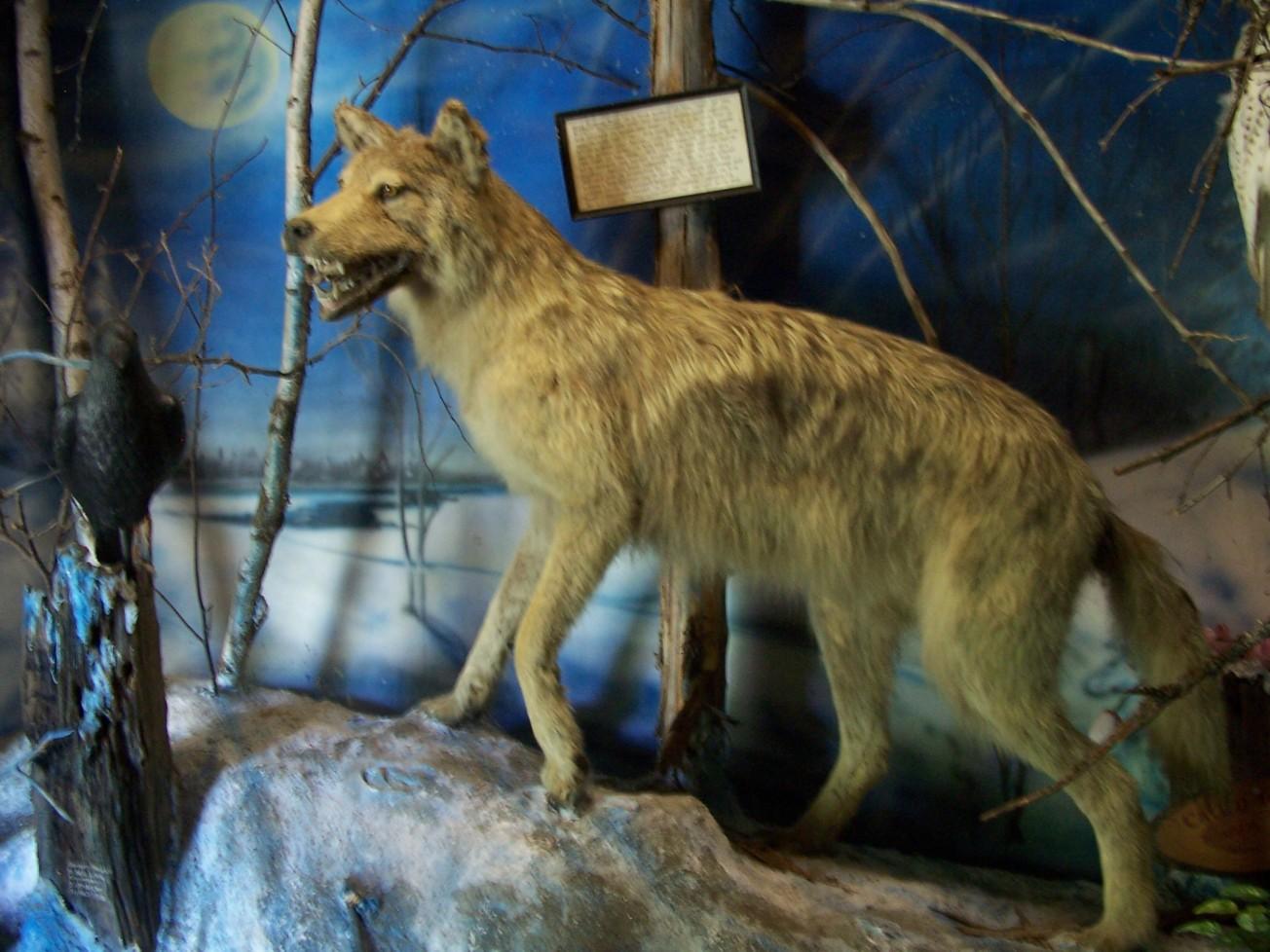 Beaver Springs Fishing Park