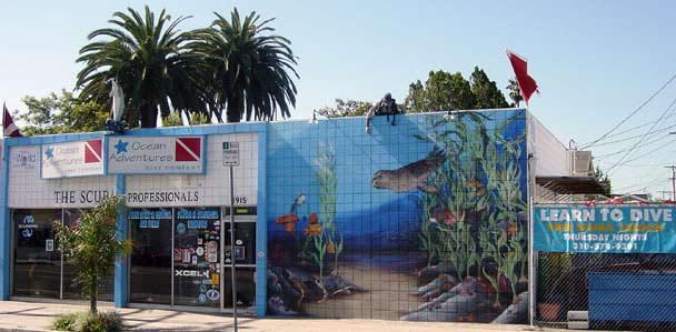 Ocean Adventures Dive Company