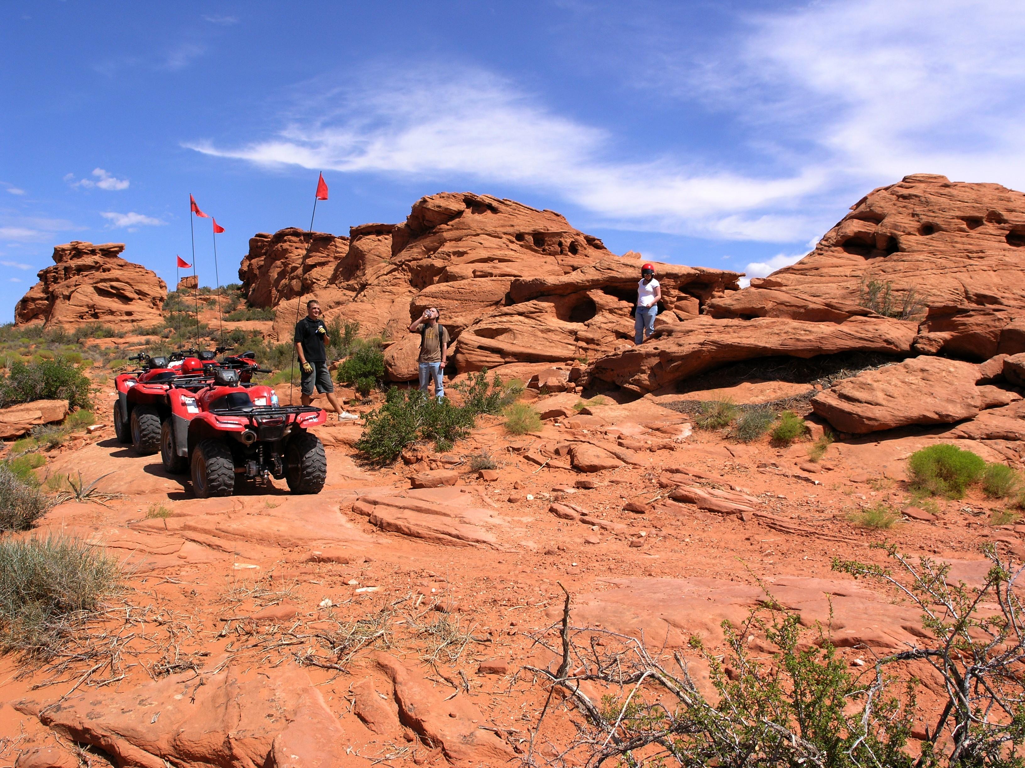 Torque Motorsport Rentals