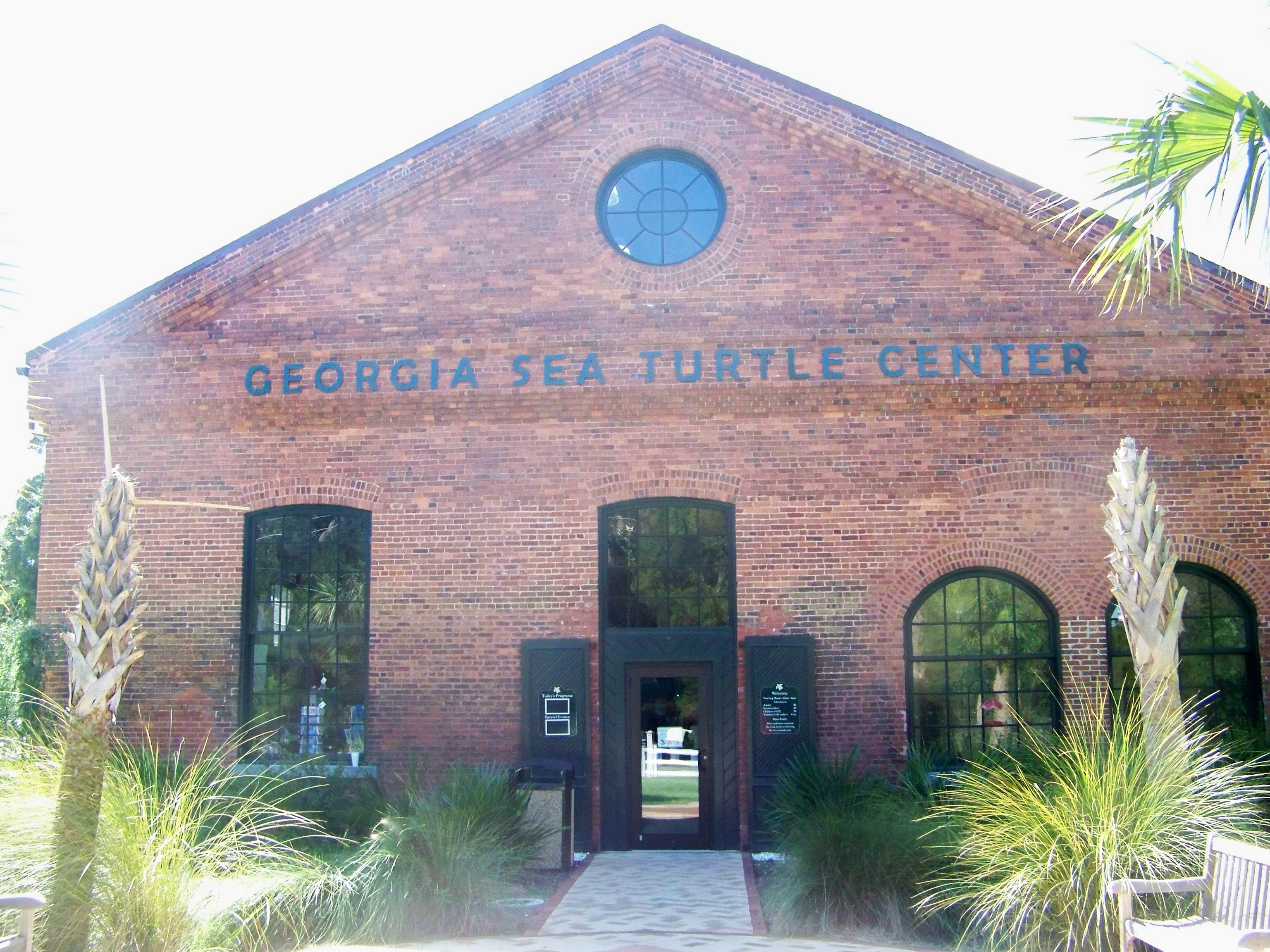The Georgia Sea Turtle Center