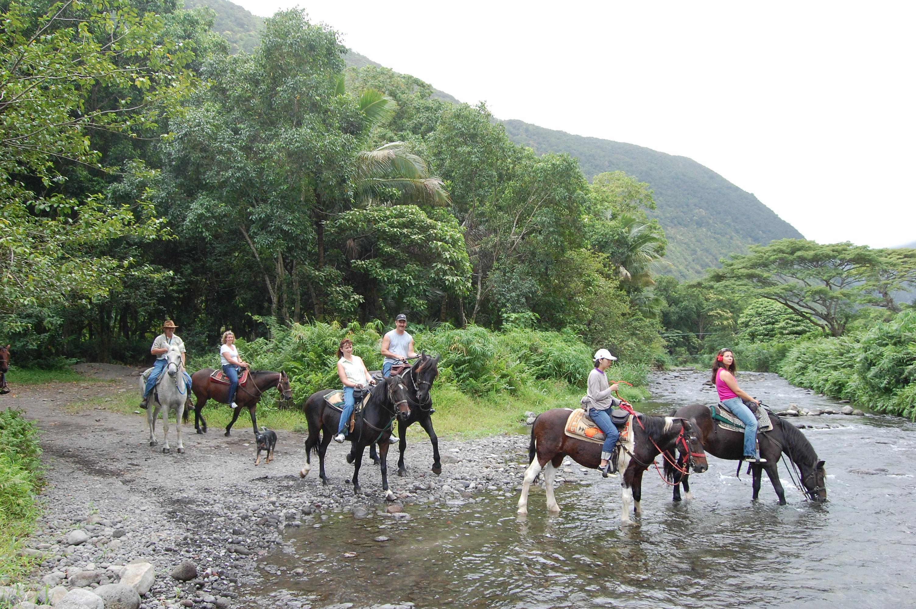 Wailea Horseback Adventure