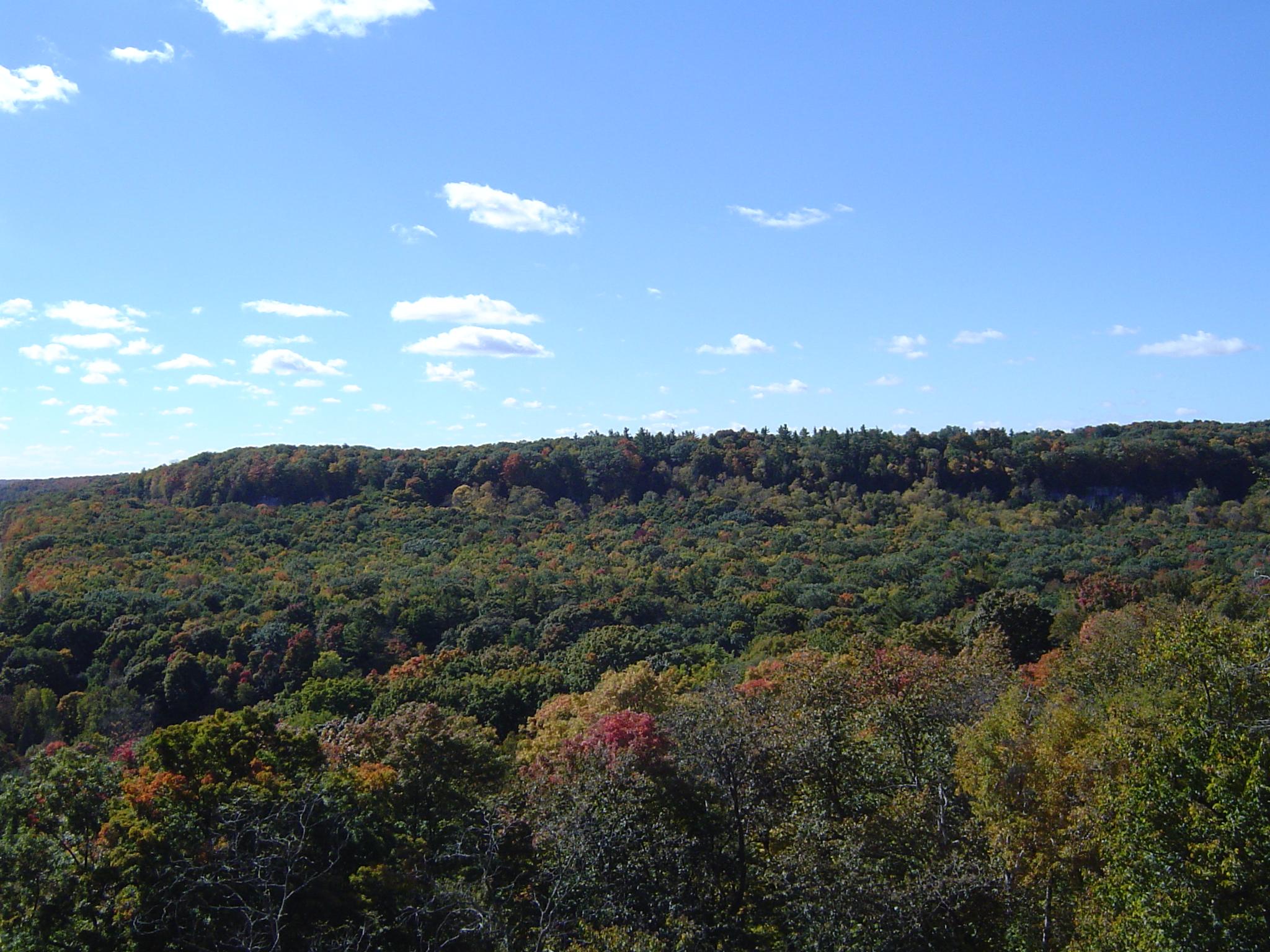 Rattlesnake Point Conservation Area
