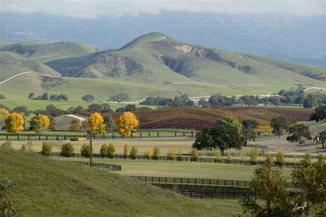 Photo by wanderingbrett