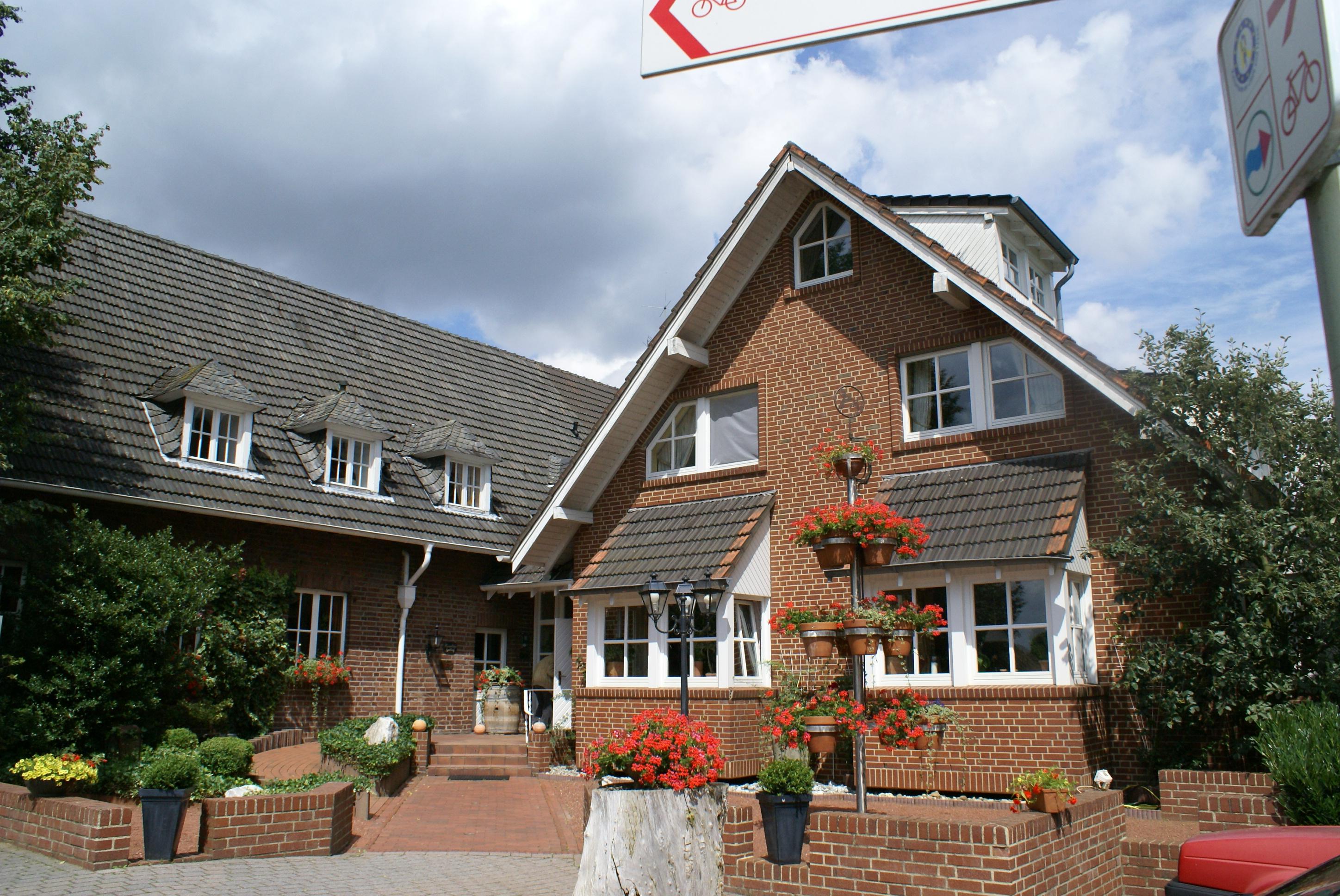 Photo by bluewillow29