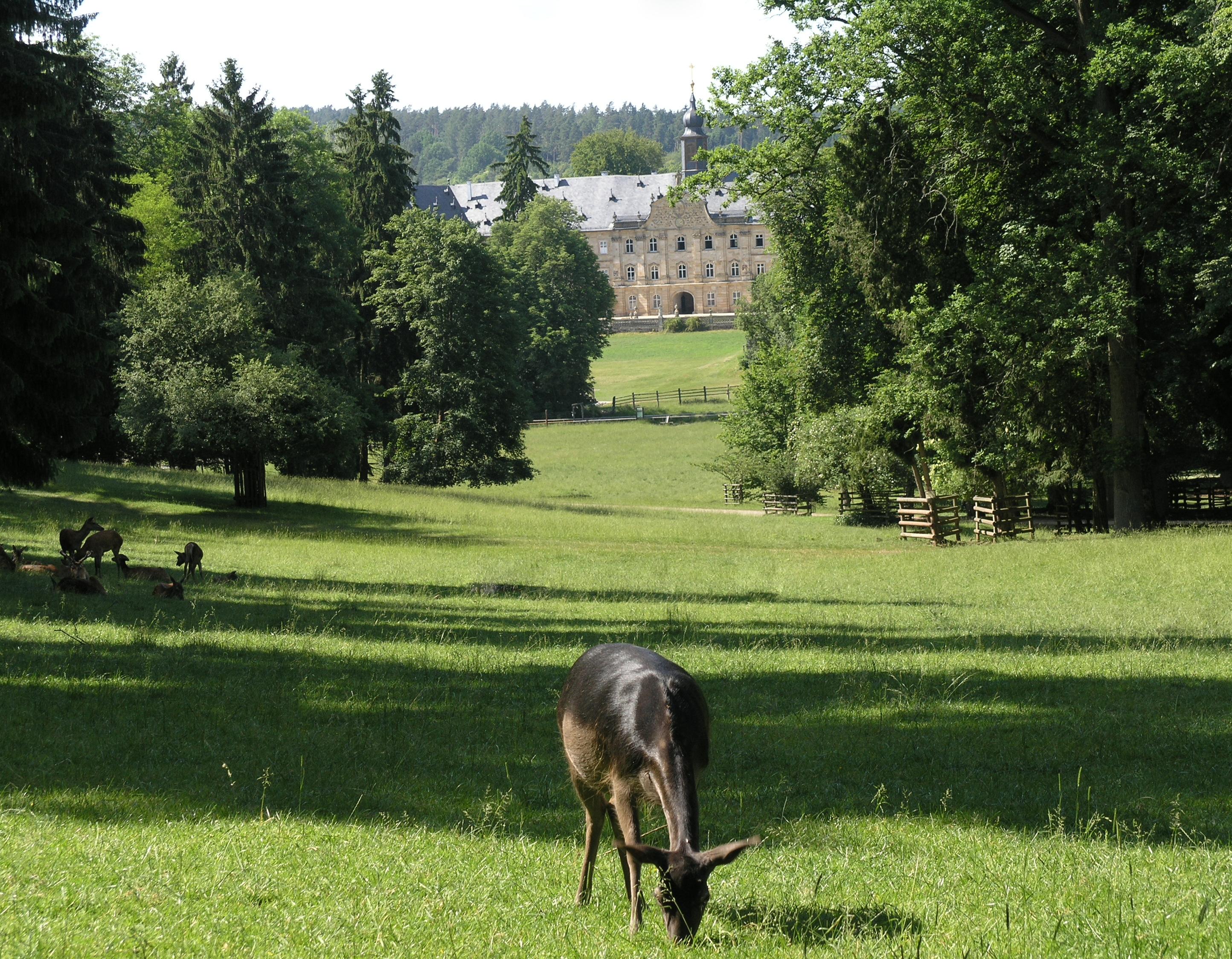 Wildpark Schloss Tambach
