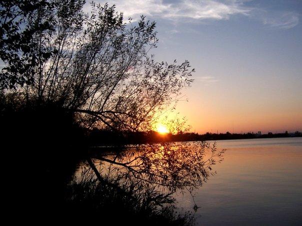 Photo by carpmanjake