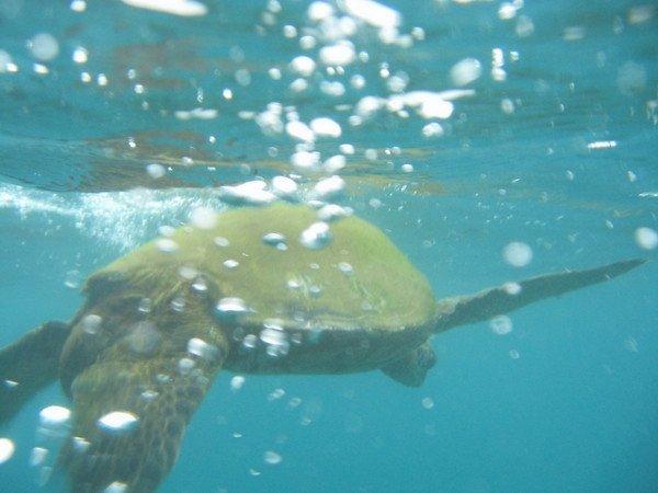 Photo by lovinbnsmiley