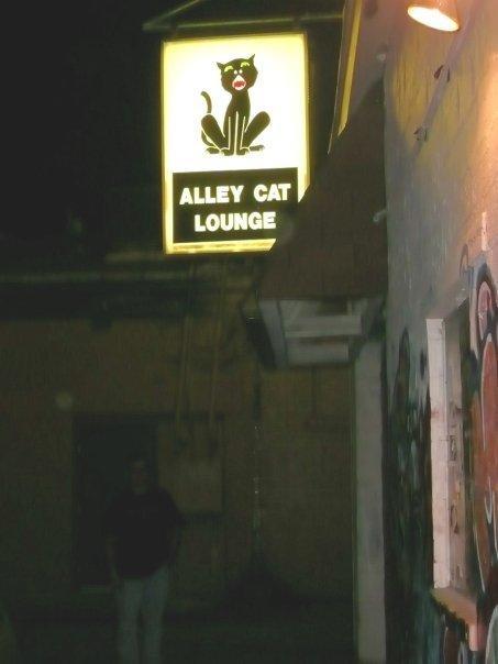 Alley Cat Lounge