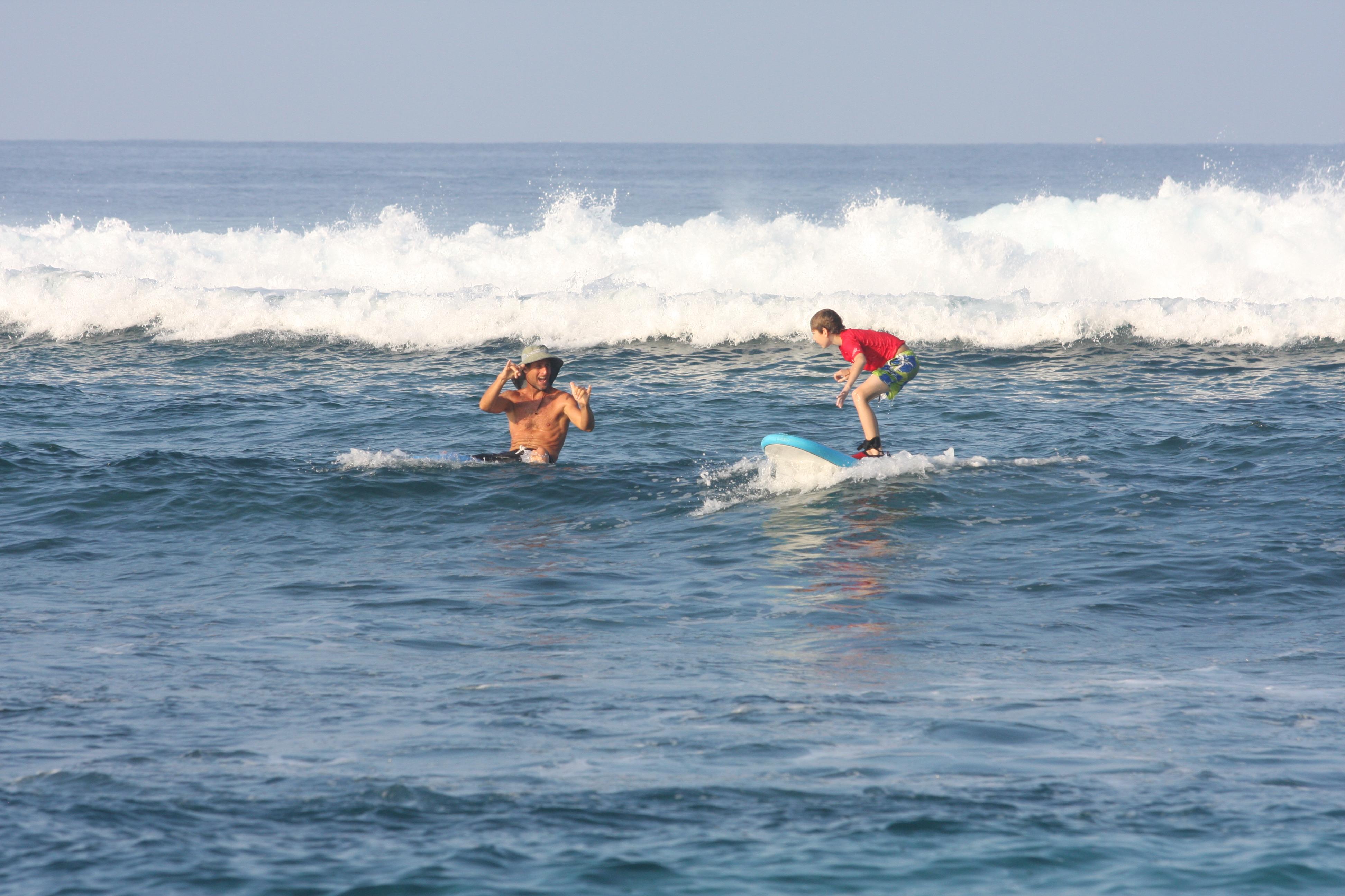 Surfer Bear Hawaii Surf Lessons