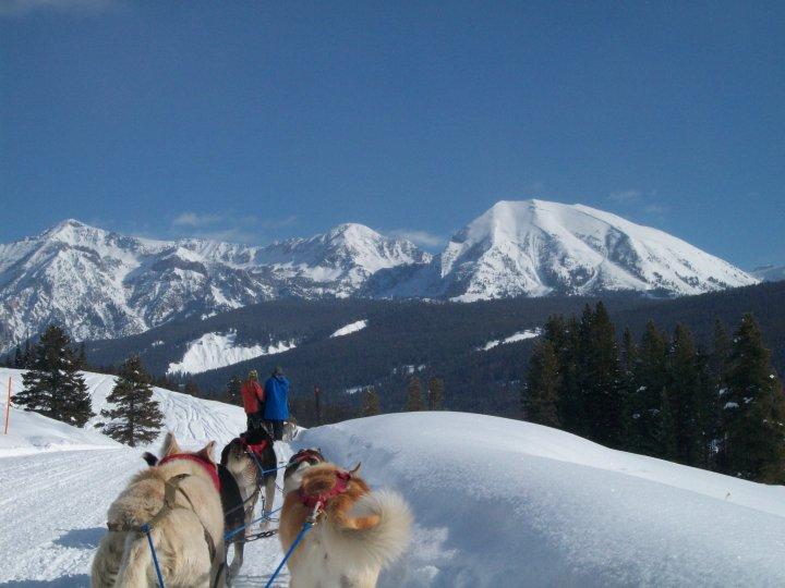 Jackson Hole Iditarod Sled Dog Tours