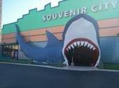 Souvenir City
