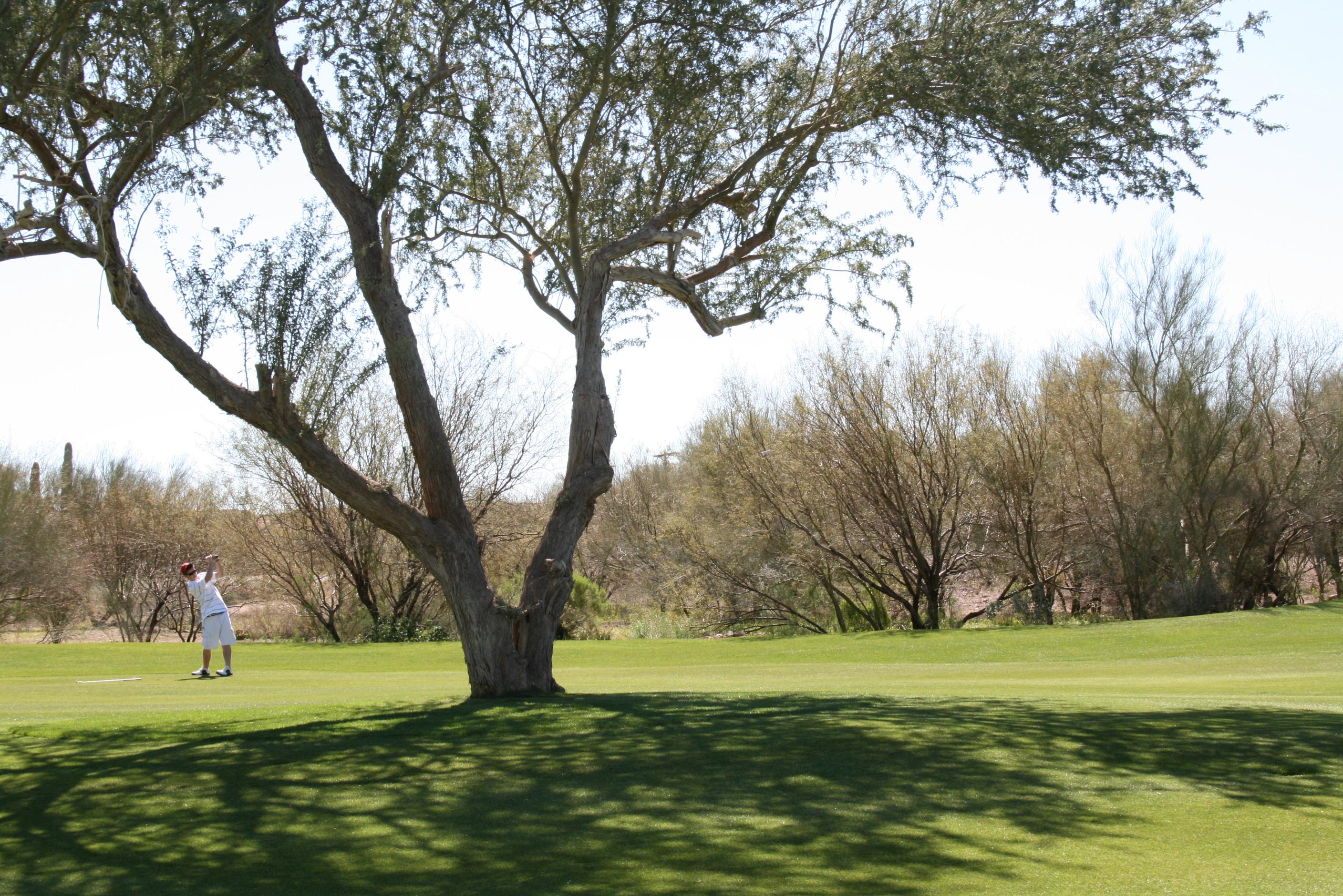 Sidewinder Golf Course