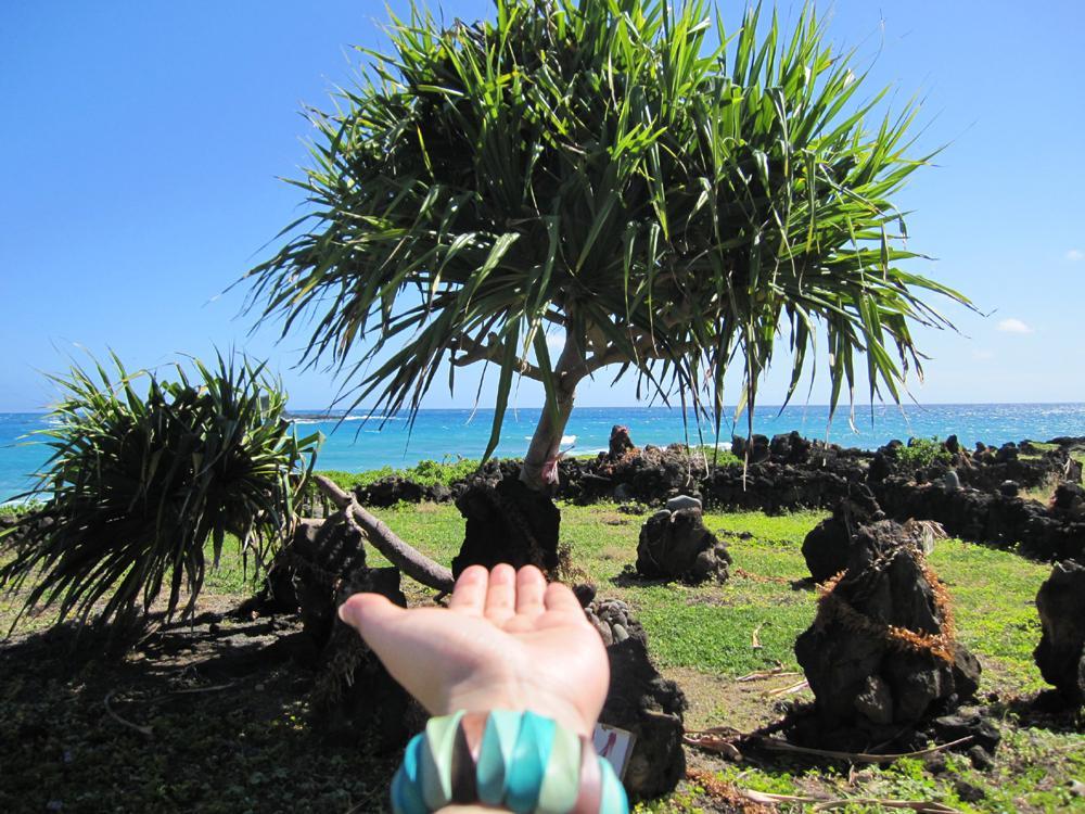 Photo by aloha-mania