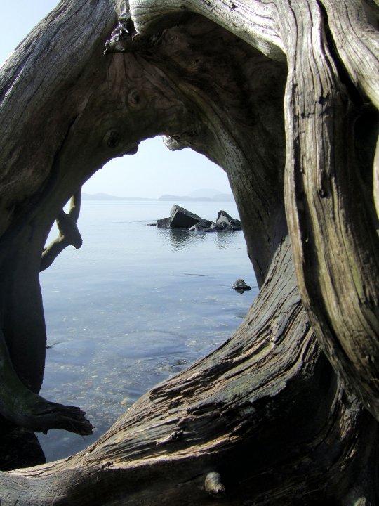 Photo by ketchikangurl