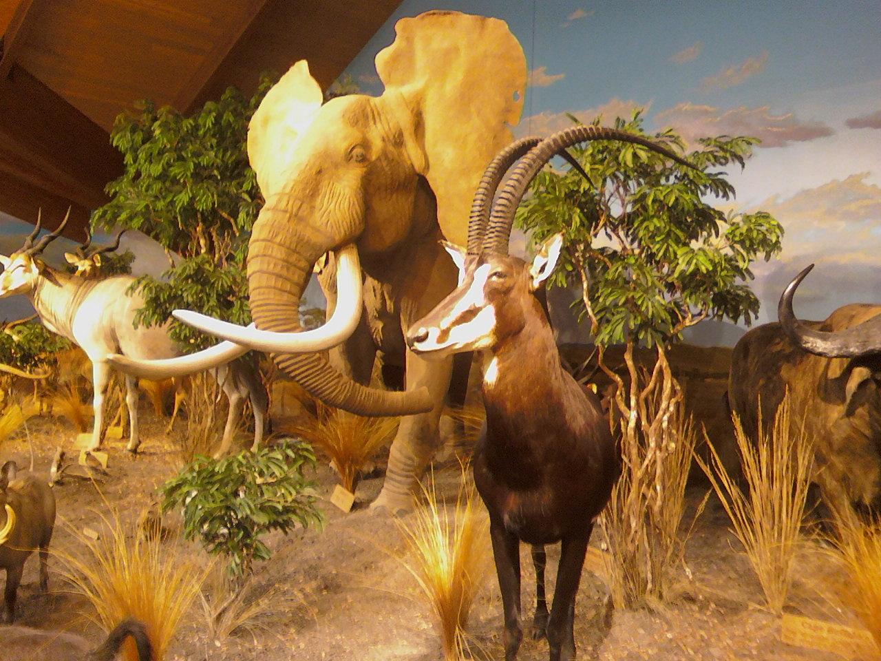 Photo by greathill89