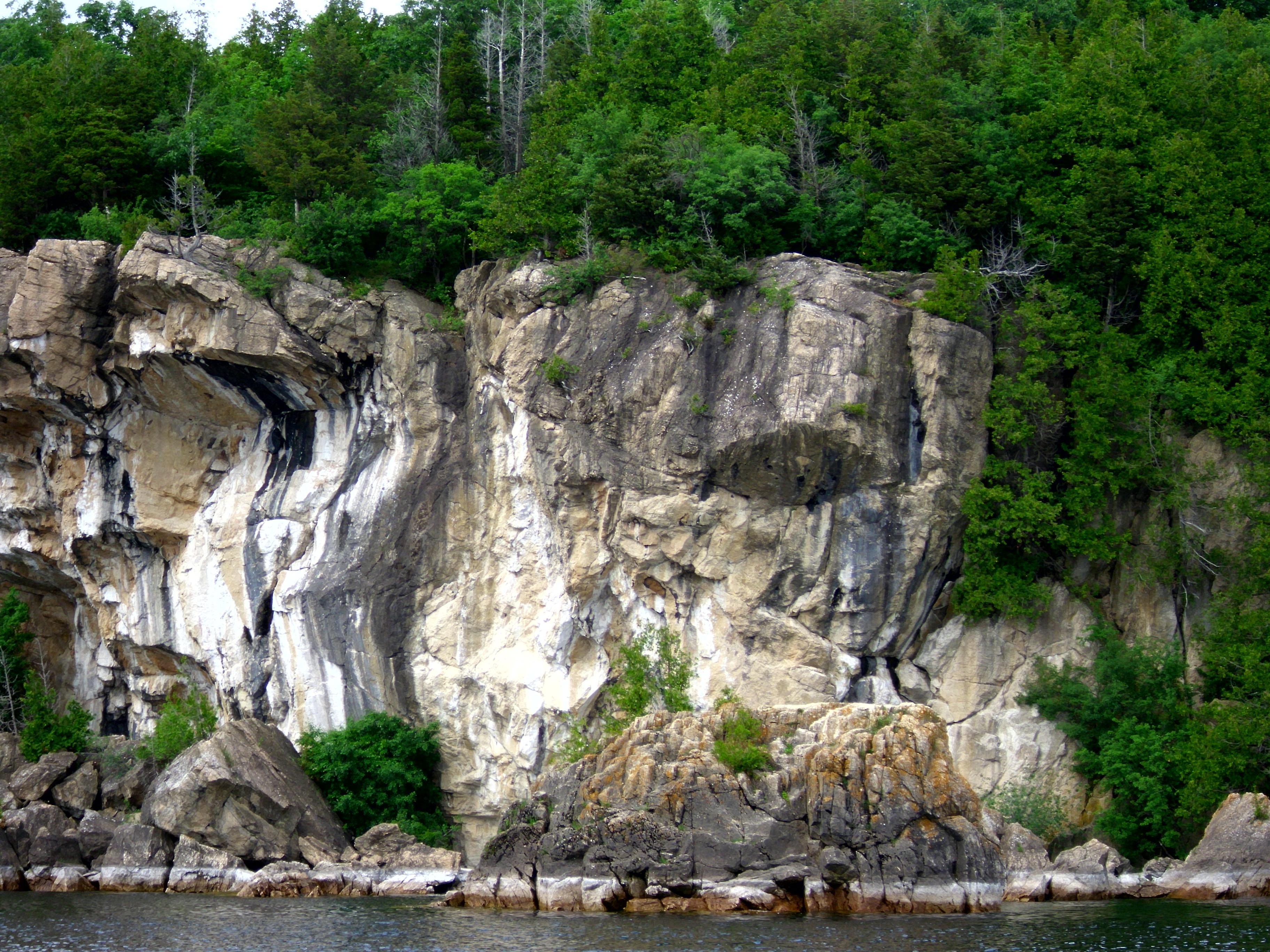 Photo by Vegetarianforlife