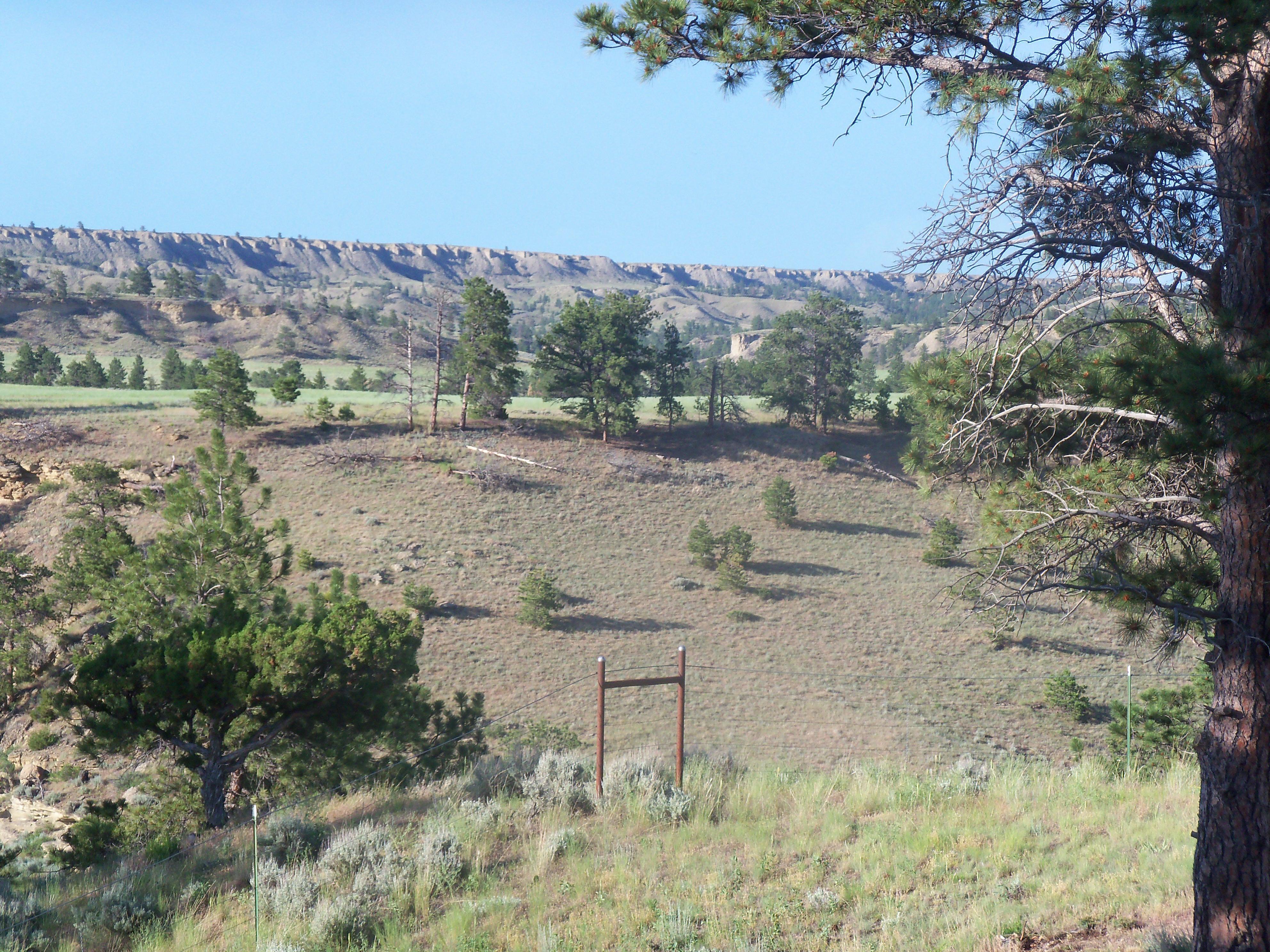 V Lazy B Bed and Breakfast and Horse Motel