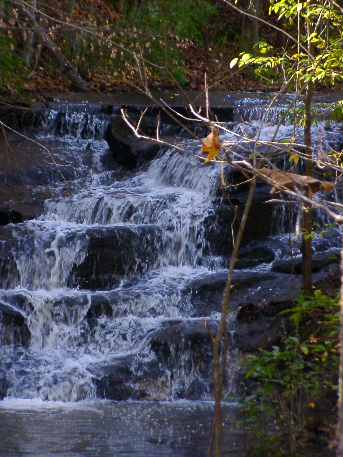 Anne Springs Close Greenway