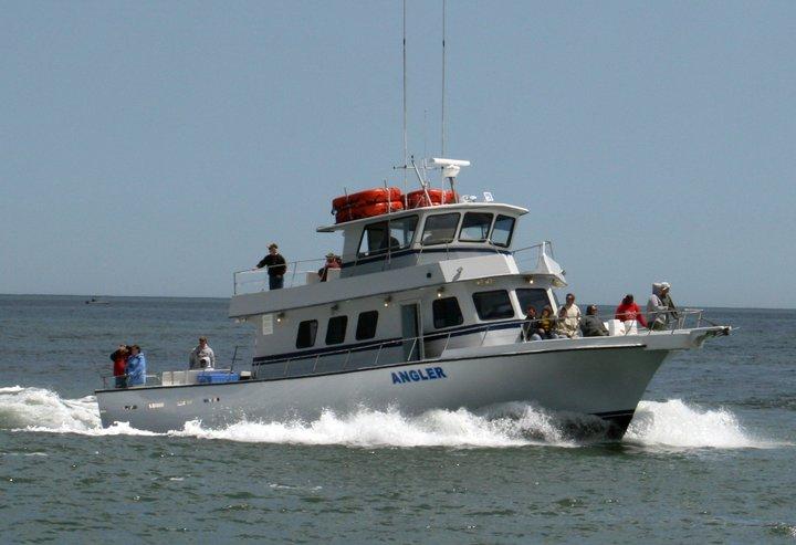 Captain Bill Bunting's Angler