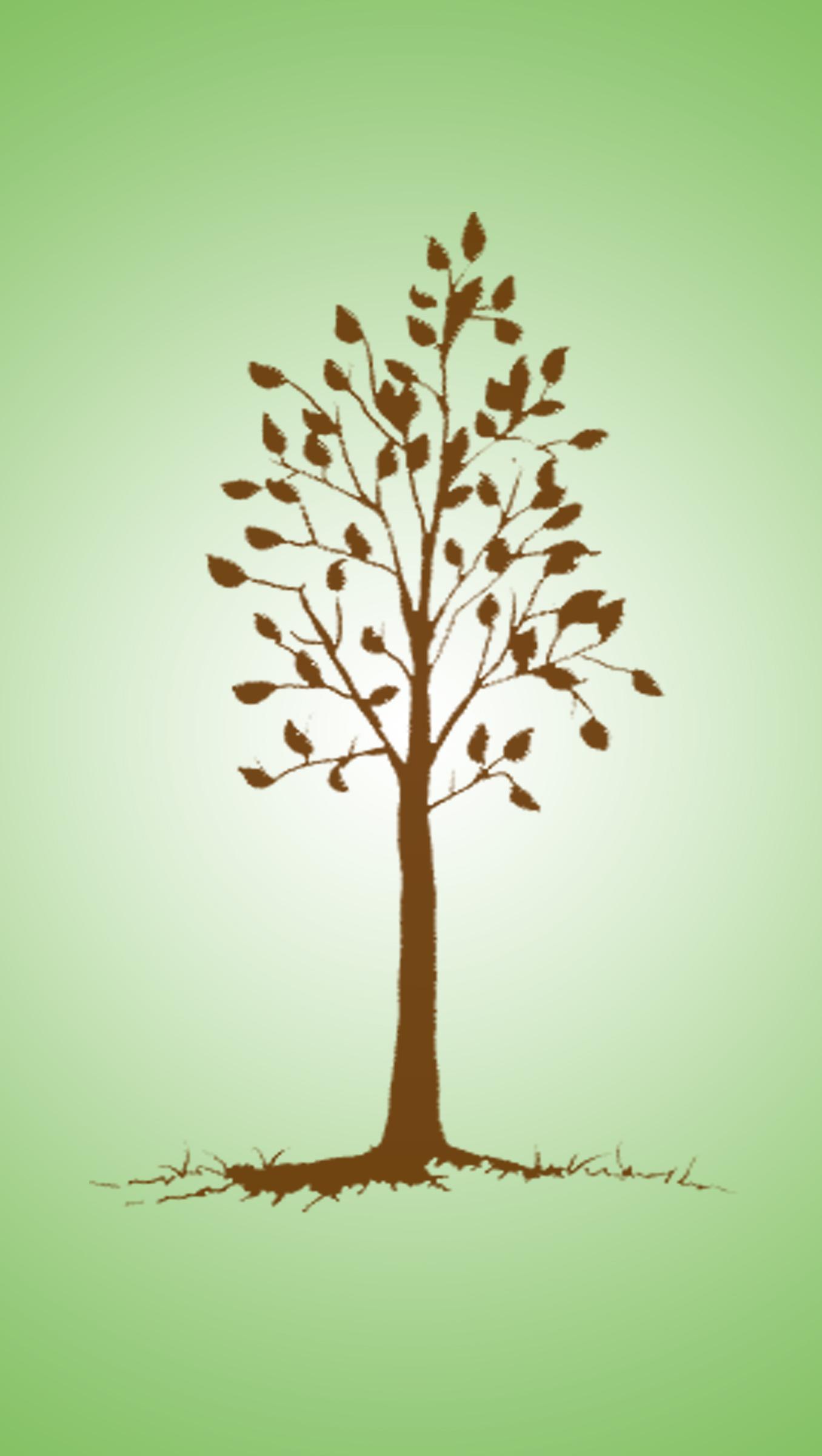 Wendy A Hall Massage Therapy