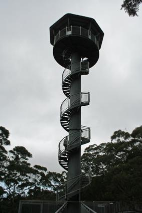 Illawarra Fly Treetop Walk