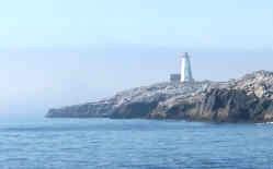 Shelburne Harbour Boat Tours