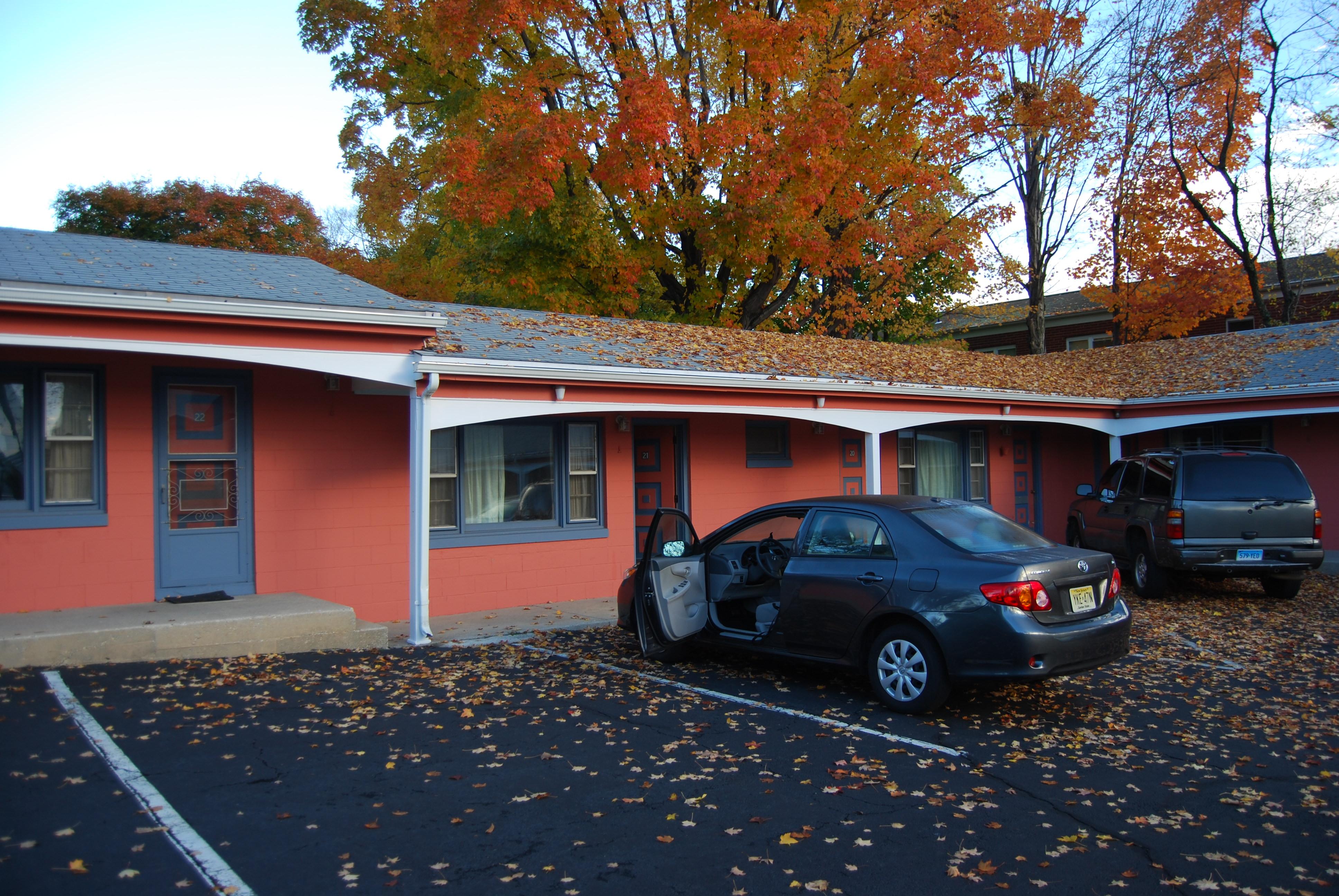 Photo by GargoyleofBelleville