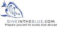 Dive in the Blue