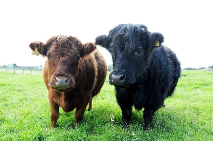 Farmer Parrs Animal World