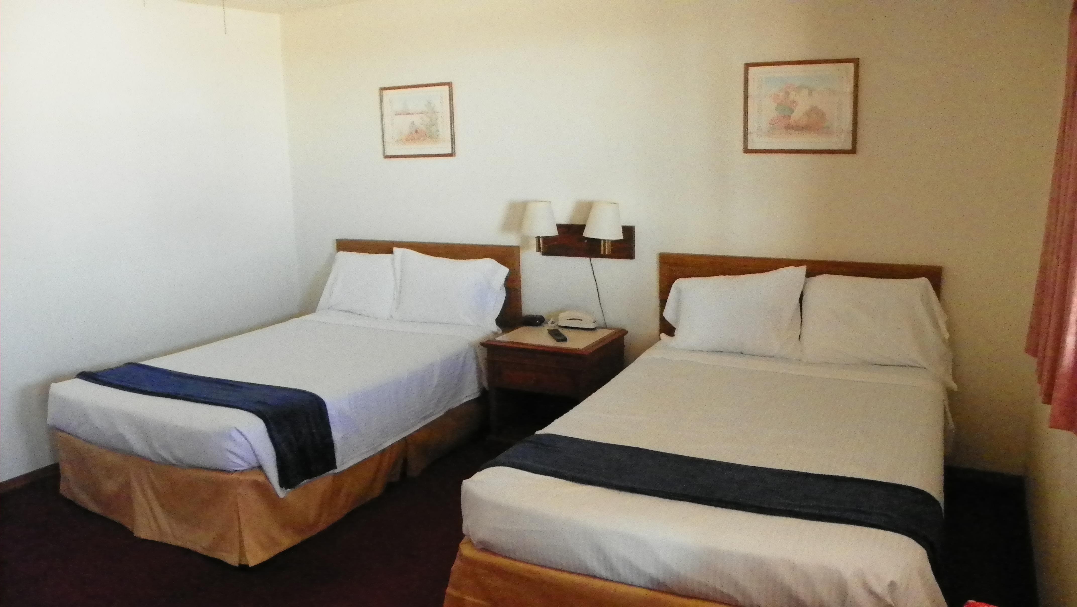 Photo by gflogllab54