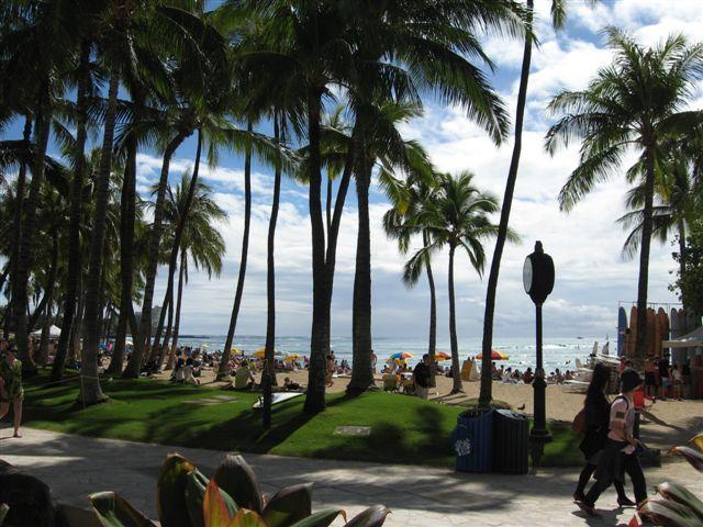 Fun Hawaii Travel