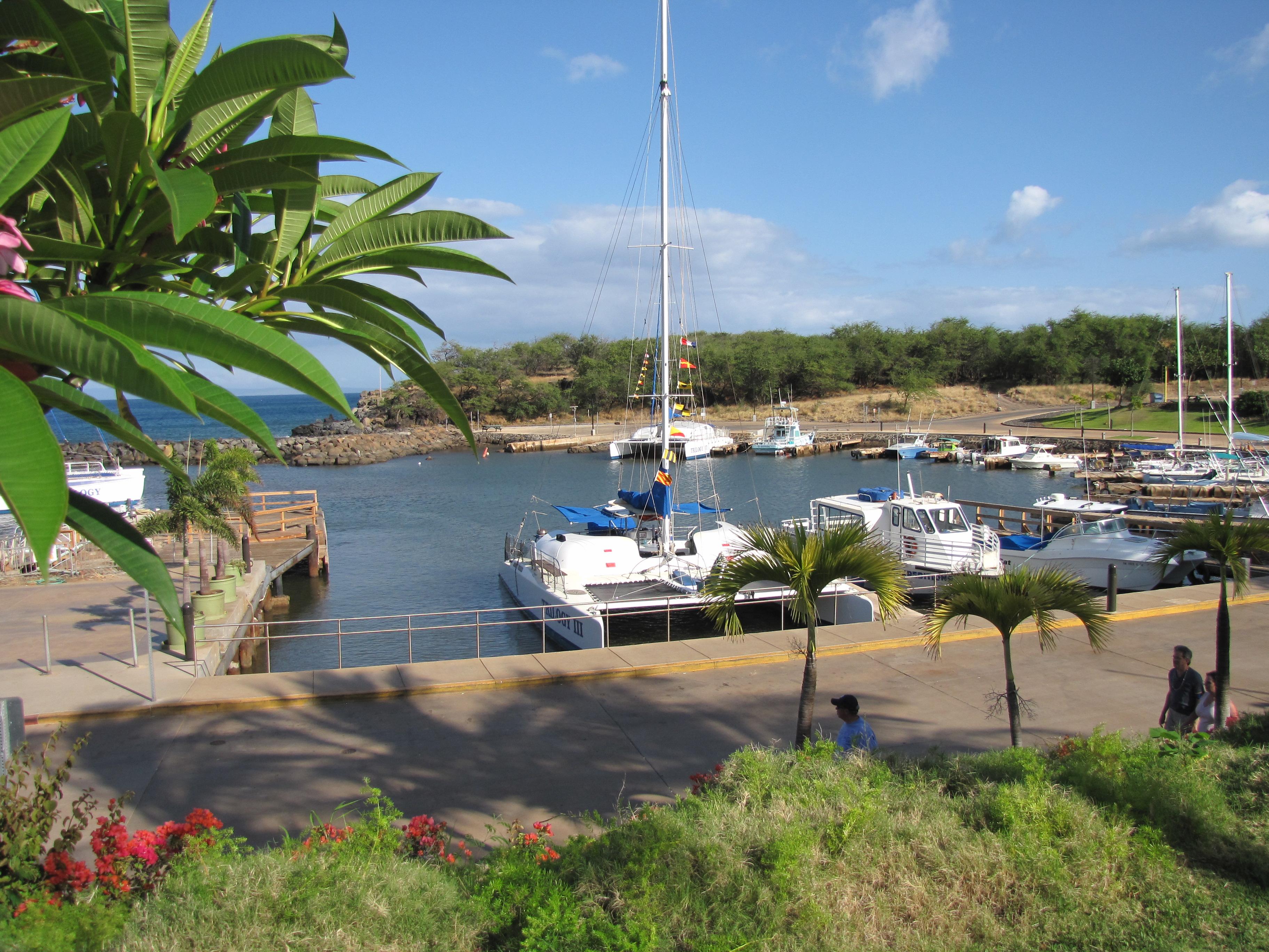 Molokini and Lanai Snorkeling Day Tour