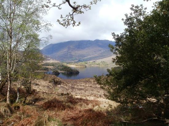 Killarney Discover Ireland Centre