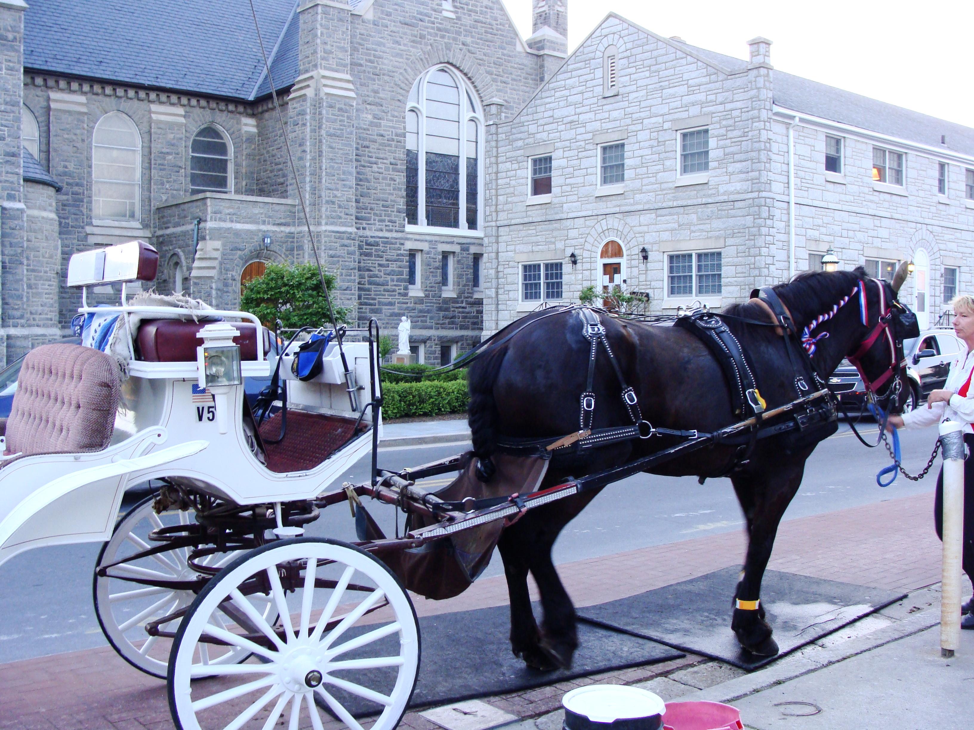 Cape May Carriage