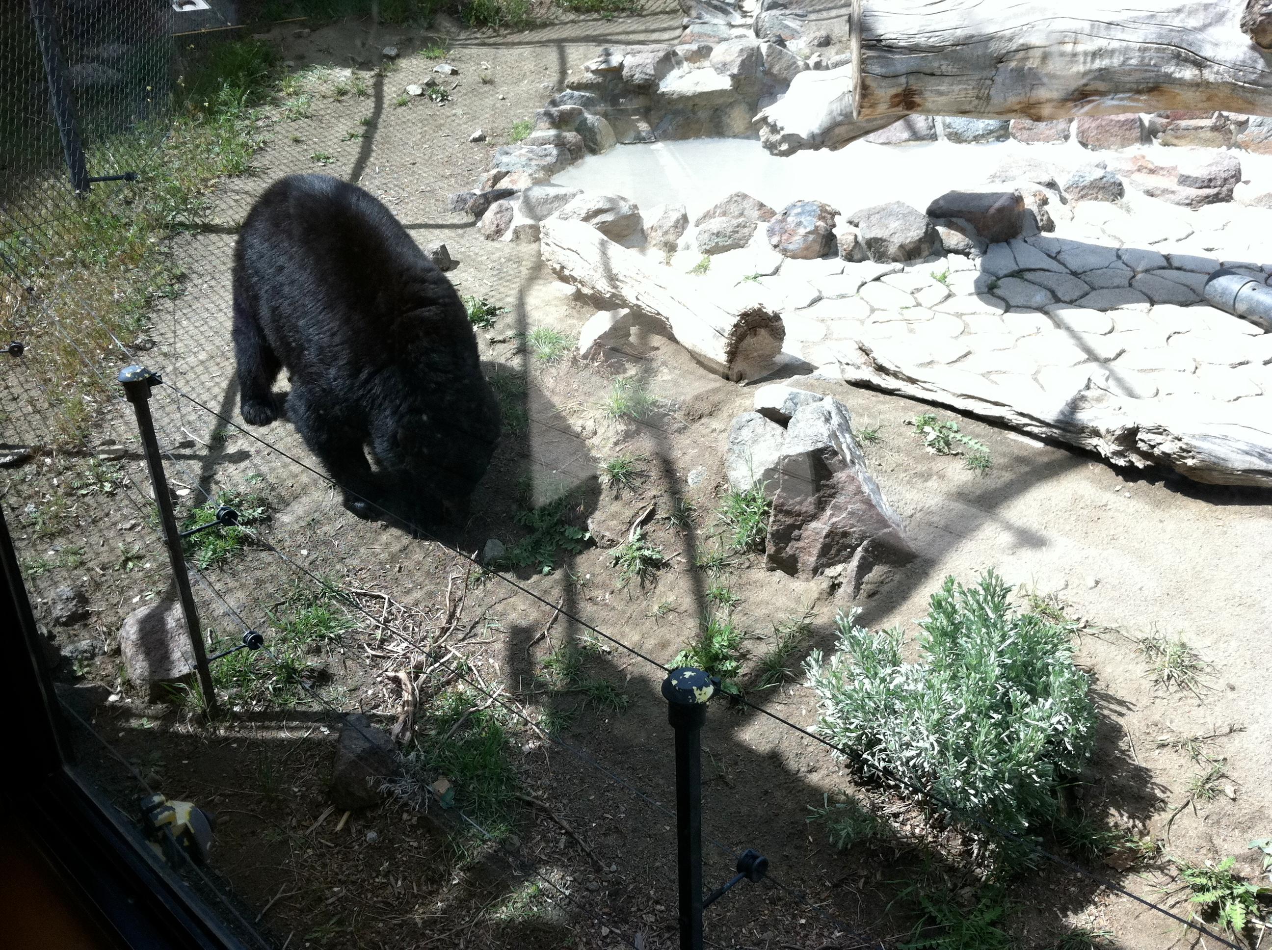 Photo by 1happycouple