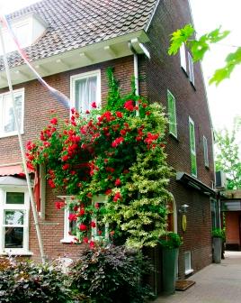 Best2Be Bed & Breakfast