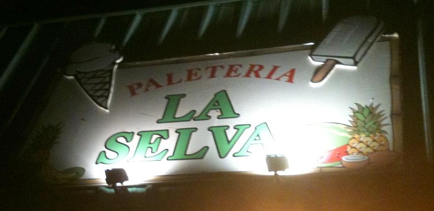 Paleteria La Selva - Mexican Ice Cream Shop