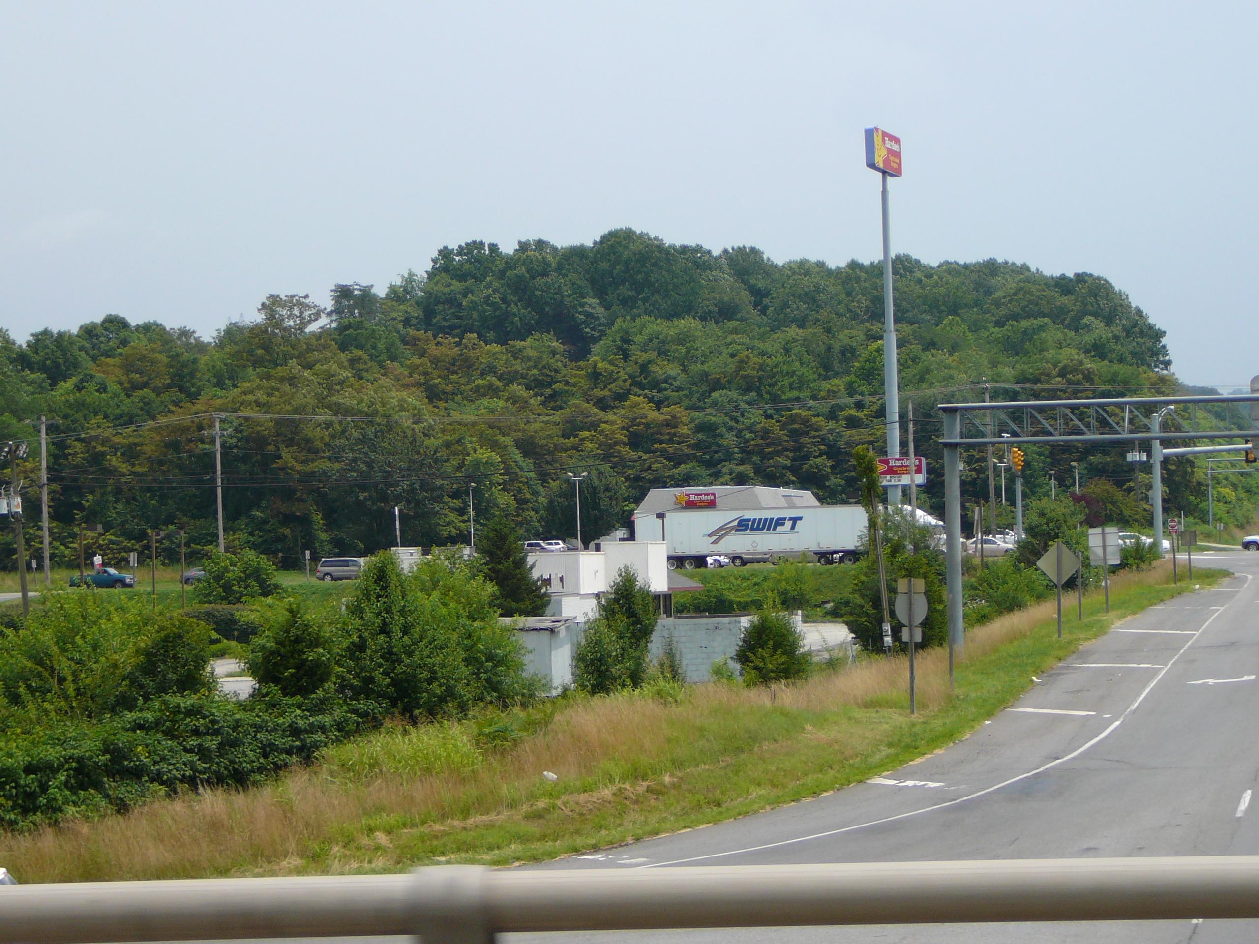 Photo by daisyferret1