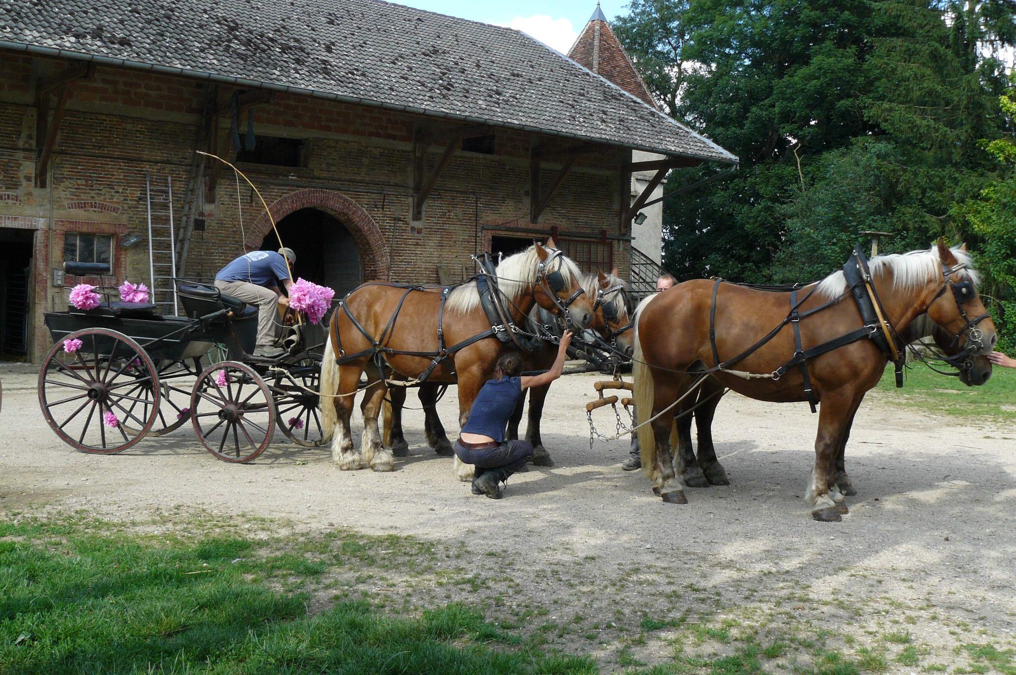 Ferme de Sainte Marie
