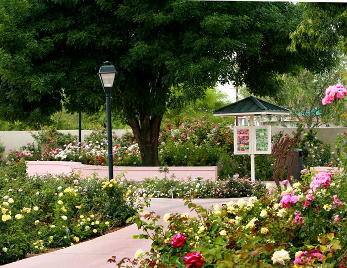 Rose Garden at Mesa Community College