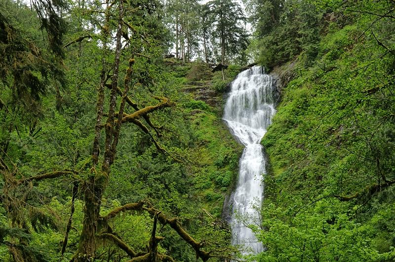 Munson Creek Falls
